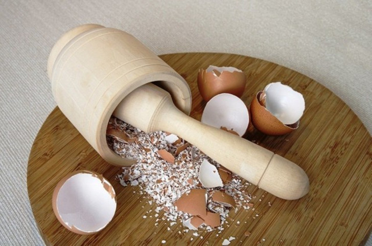 Чтобы использовать яичную скорлупу в качестве удобрения, необходимо превратить её в порошок. © aljamila