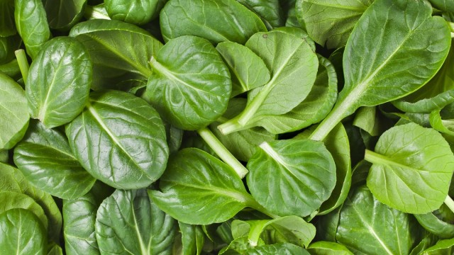 Особенно склонна к накоплению нитратов вся весенняя зелень: салат, шпинат, щавель и др. © Mobile Cuisine