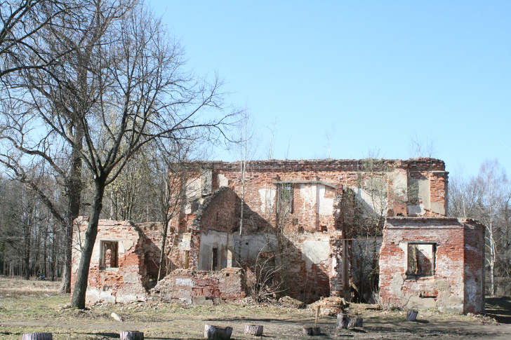 Демьяново остатки от усадебного дома (фото Василия Кузьмина)