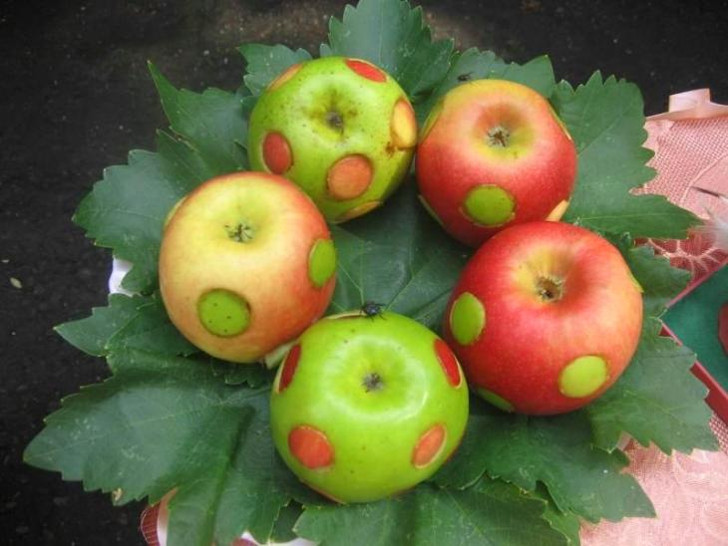 Поделки к яблочному спасу в детский сад