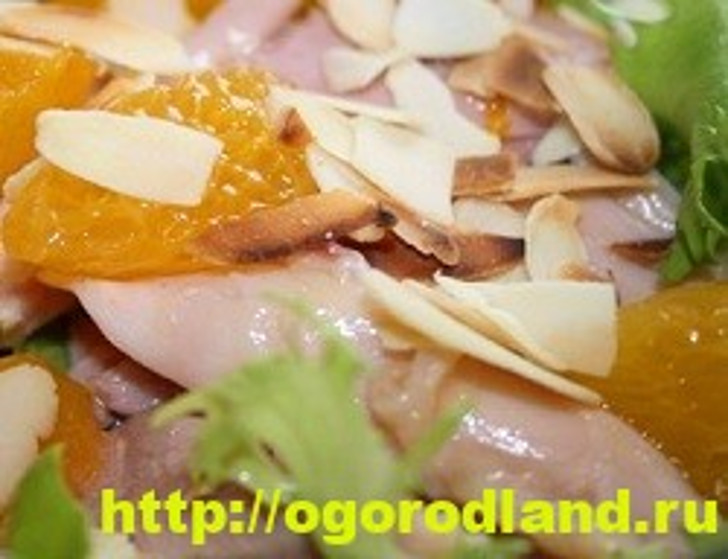 Салат с курицей «Апельсиновый хруст»