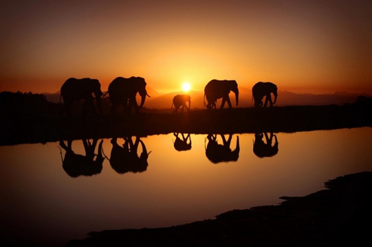  Слоны почитаются многими народами мира (Фото: Marina Cano, flytothesky.ru)