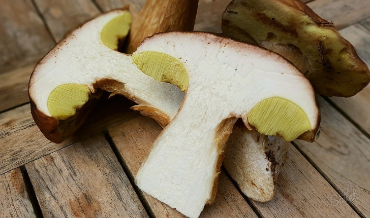 Молодой белый гриб в разрезе. © wallpaperflare