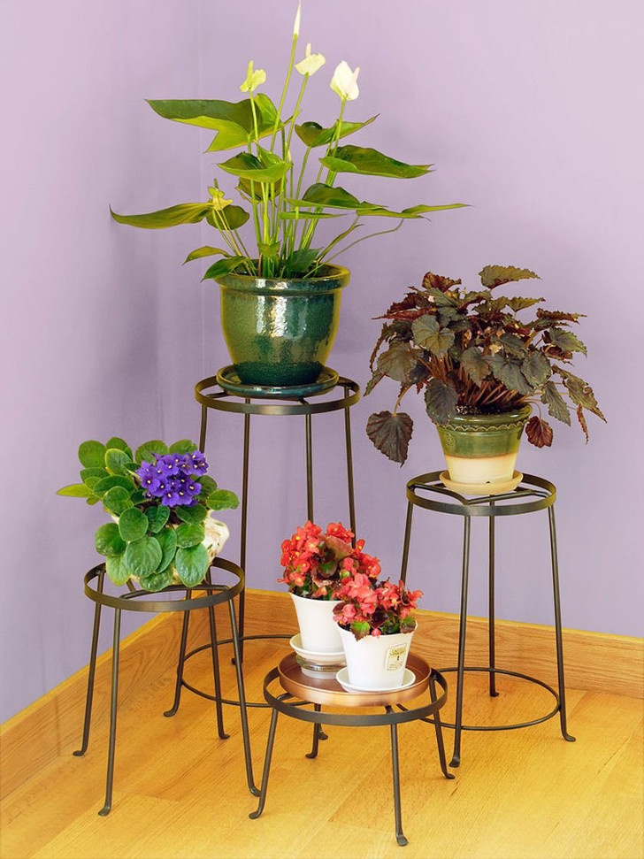 Средние одиночные растения лучше поставить на некрупных, удобных, единичных подставках. © Gardener’s Supply