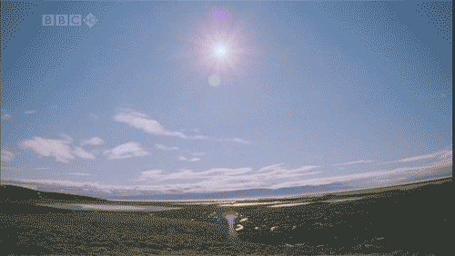 Солнце на небе Мурманска в день летнего солнцестояния. Анимация ВВС. 