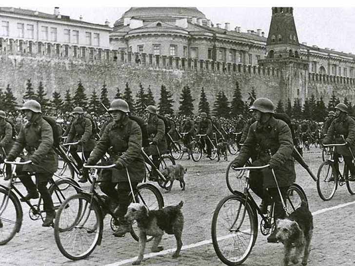  Велосипедные военные собаководы. Парад 1 мая 1938 года (Фото: wikipedia.org)