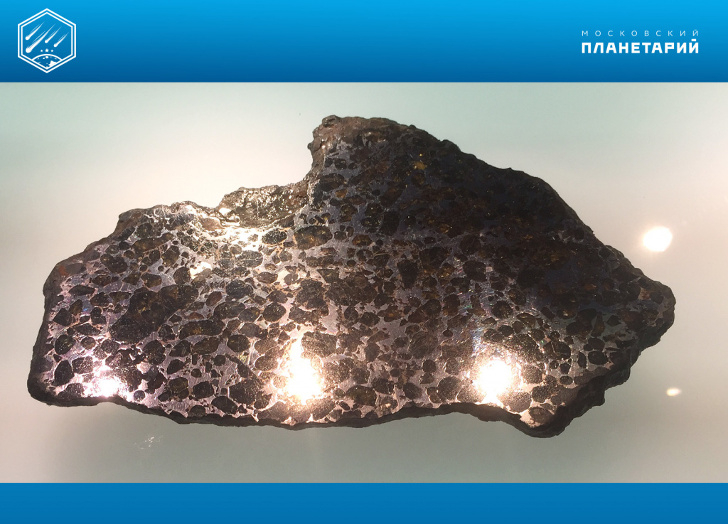  Пластина железо-каменного метеорита (палласит) Брагин, находка 2004 г, Брагинский район Гомельской области (Белоруссия). Светлое – металл, тёмное – оливин. Размер 19х12х0,5 см. Метеоритная коллекция Московского Планетария, № 66. 