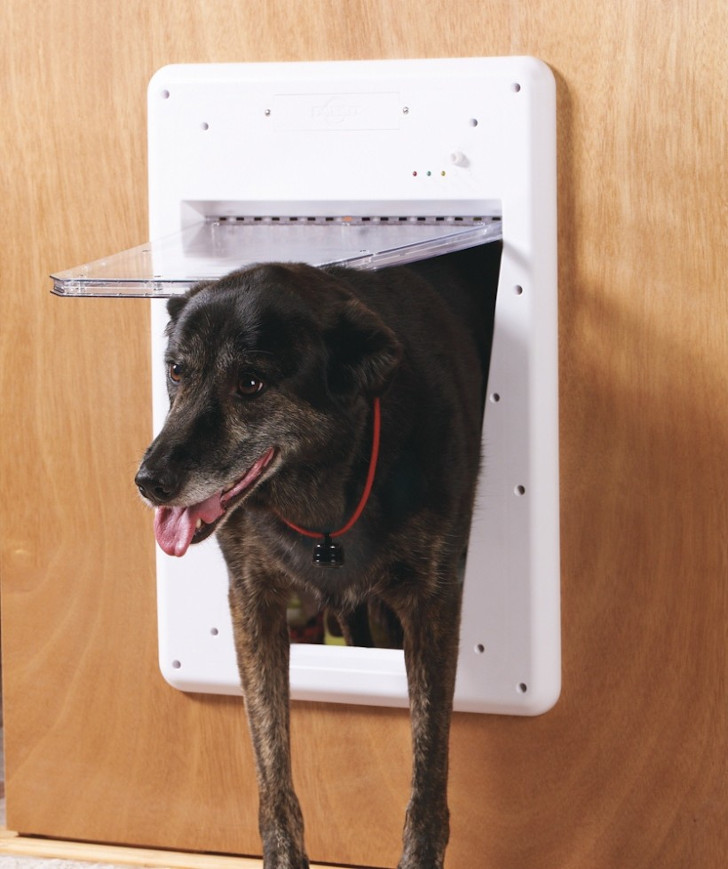 Умная дверь для собак «SmartKey»