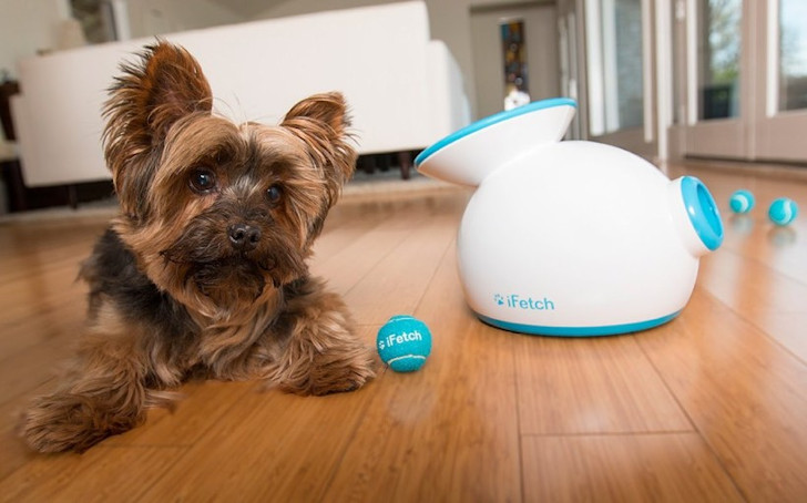 Автоматическое пусковое устройство мячиков для собак «iFetch»