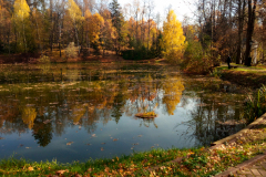 Осеннние фото Подмосковной усадьбы (предоставлено В.Кузьминым, октябрь, 2021)