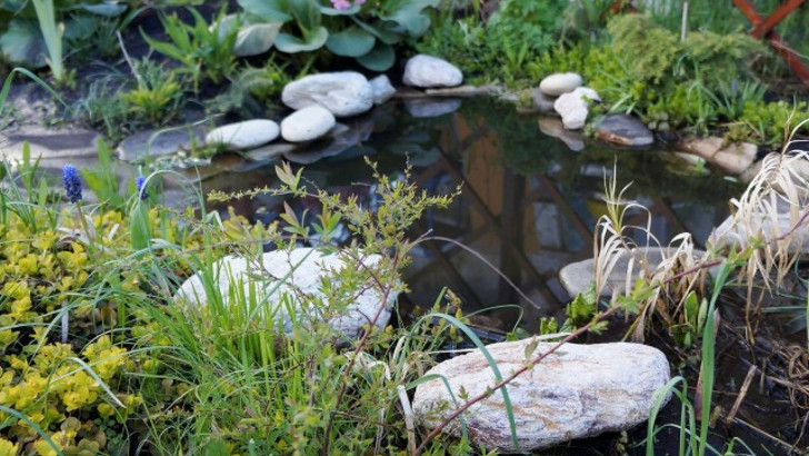 Как установить и оформить пластиковый пруд в саду. © Людмила Светлицкая