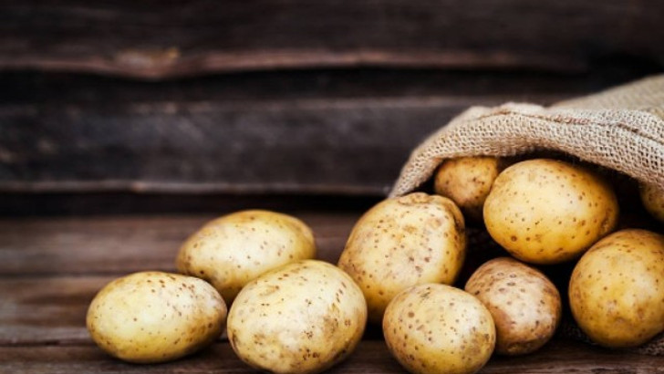7 способов выращивания картошки, которые увеличат ваш урожай. © The Search Titans