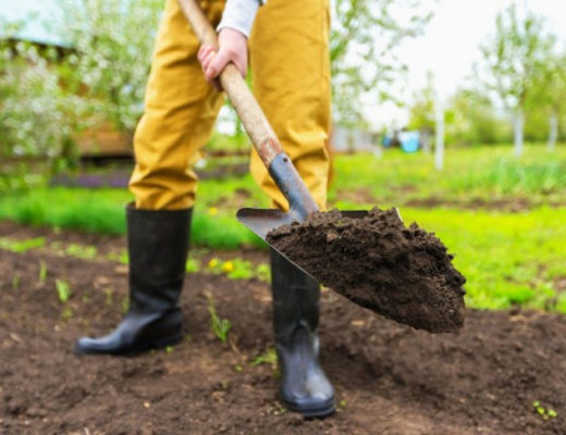 Какая бывает почва, и как её улучшить?
