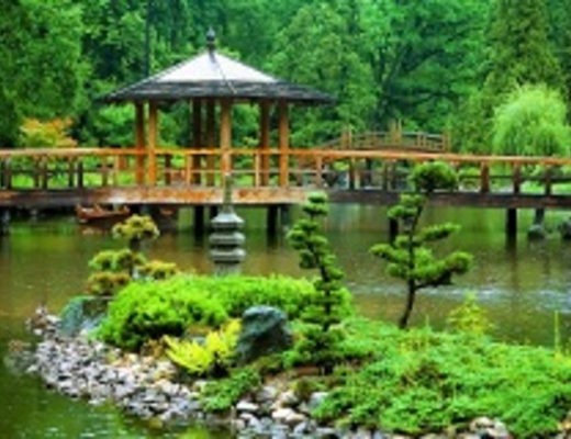 Строго-величественные и безупречные японские сады — неотъемлемая часть культуры (Фото: Dariush M, Shutterstock)