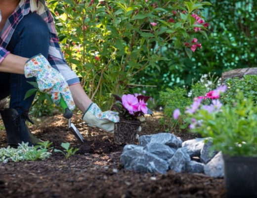 Что не забыть сделать в мае садоводу?
