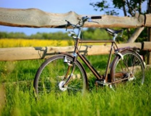 Велосипед, как вид транспорта, используется уже на протяжении 200 лет (Фото: Aleksey Stemmer, Shutterstock)