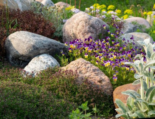 Камни-валуны в саду — идеи и правила оформления участка
