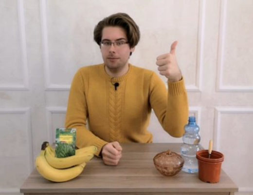 Как посадить банан в домашних условиях