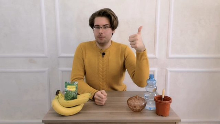 Можно ли вырастить дома банан в горшке?