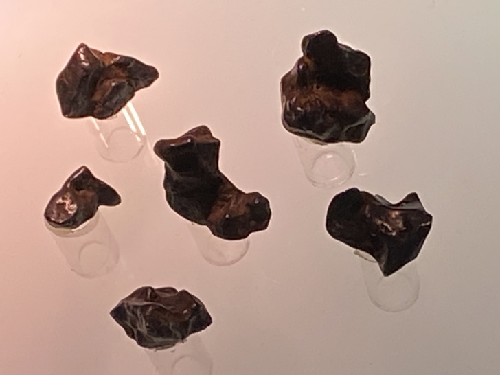  Фрагменты железного метеорита Canyon Diablo, размеры 1-3 см, общая масса 50 г. Метеоритная коллекция Московского Планетария № 60. 