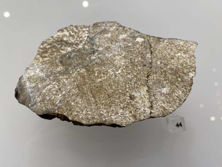 Ахондрит, эвкрит кумулятивный, размер 100х70х5 мм, масса 74 г. Найден в провинции Дофар (Dhofar) Султаната Оман в 1999 г. Метеоритная коллекция Московского Планетария, № 44. 