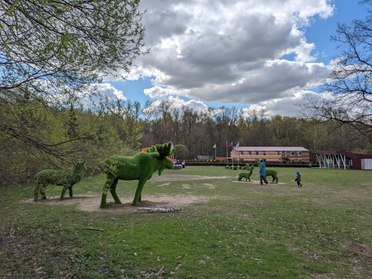 г.Москва, Бирюлевский дендропарк (фото Олег Д., апрель, 2023)