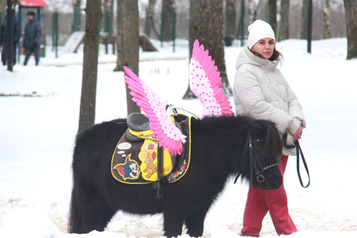 «Самоварное настроение» в Сестрорецком парке (фото В.Кузьмин, февраль, 2023)