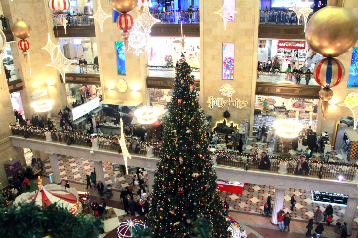 Поездка в Москву в новогодние каникулы (фото В.Кузьмин, январь, 2023)