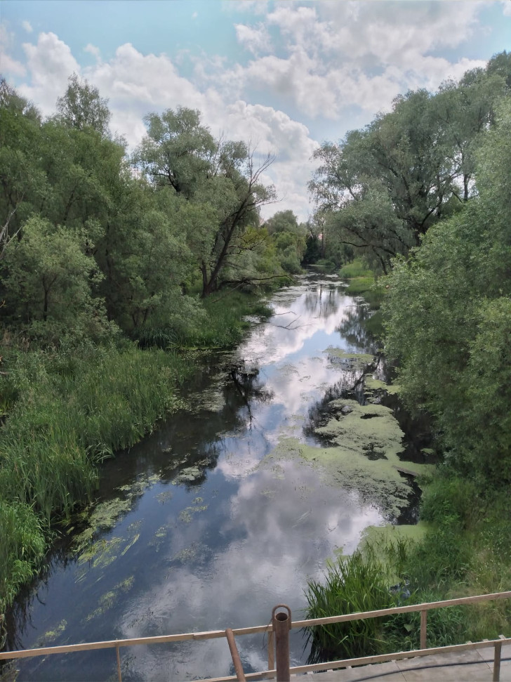 Река Сестра (г.Клин, ул. Папивина, фото из архива сайта infoce-klin.ru, июнь, 2023)