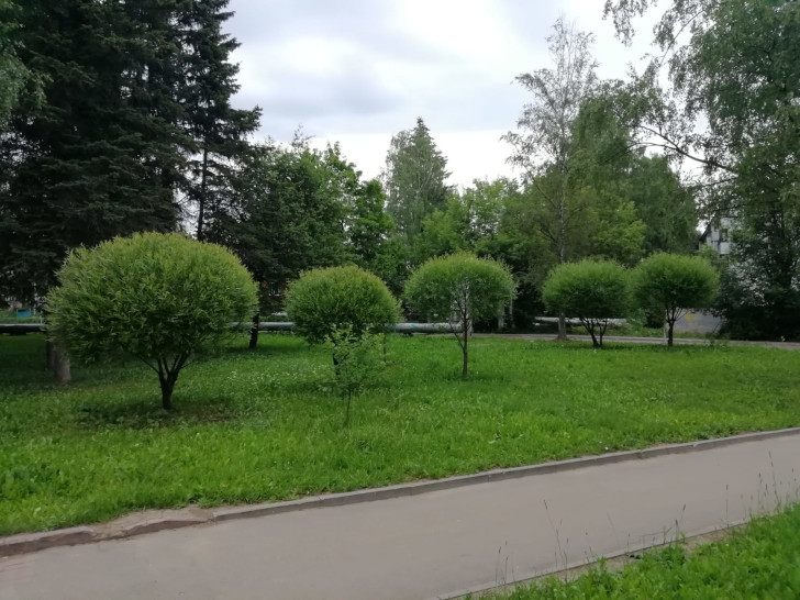 Комсомольский парк (г.Клин, 3 мкрн, фото из архива О. Шалаева, июнь, 2023)