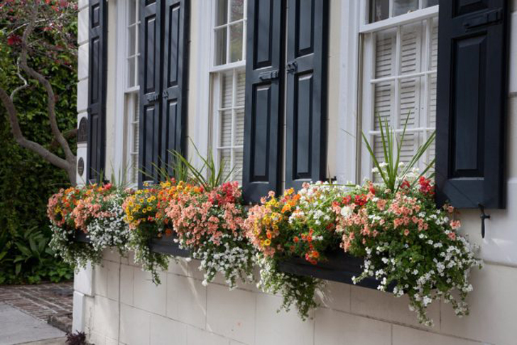 Окна, задекорированные ящиками с цветами. © southernliving