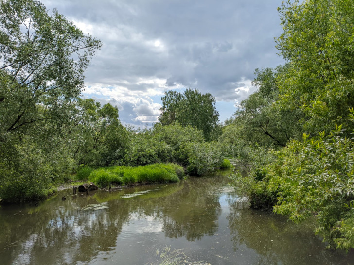 Парк Яуза, Москва (фото Олег Д., июнь, 2023)