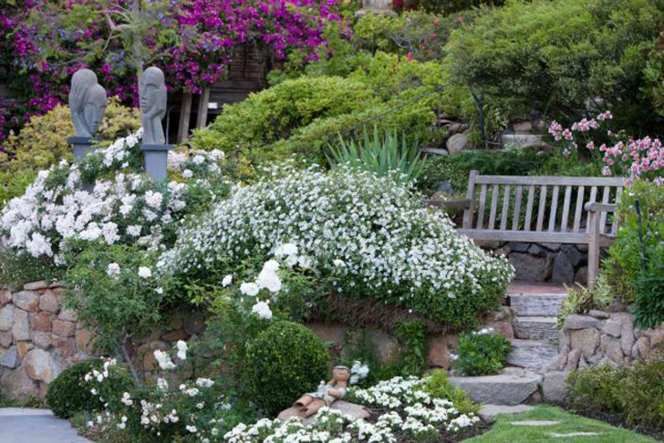 Цветущий сад в белом цвете. © Ed Golich