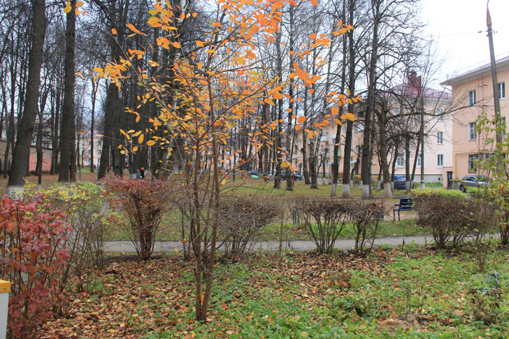 Красочная и теплая осень (г.Клин, ул.Мира, фото В.Кузьмин, ноябрь, 2021)