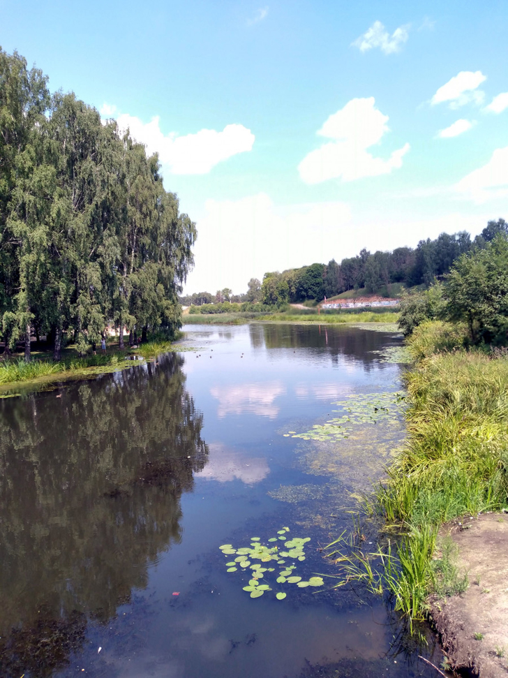 Река Сестра (фото из архива сайта infoce-klin.ru, июль, 2021)