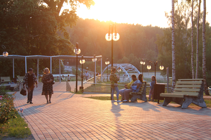 Клин, Сестрорецкий парк, фото из архива В.Кузьмина (июль, 2022)