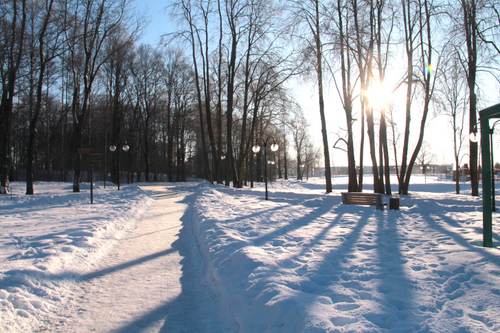 г.Клин, «Сестрорецкий» парк (фото В.Кузьмин, январь, 2023)