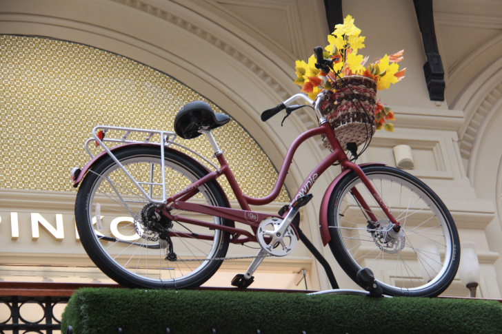 Фото из архива В.Кузьмина (г.Москва, сентябрь, 2022)