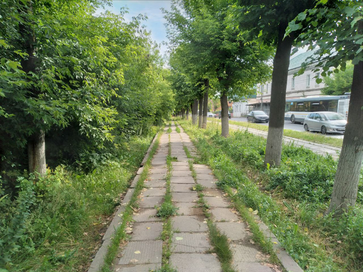 Улица Папивина (г.Клин, фото из архива сайта infoce-klin.ru, июнь, 2023)