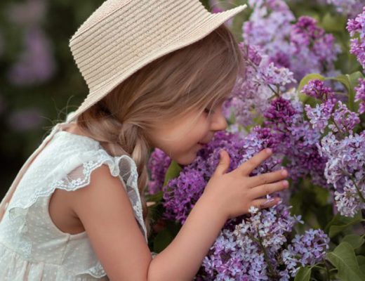 Лечимся запахами — 12 ароматных кустарников, полезных для здоровья