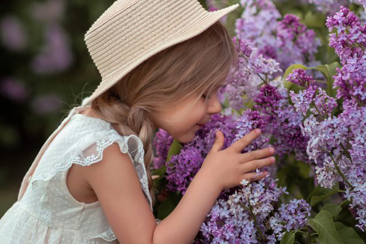 Лечимся запахами — 12 ароматных кустарников, полезных для здоровья