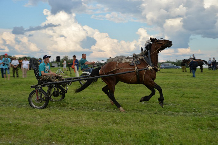 Обязательное мероприятие – конные скачки, которые собирают до сотни участников (Фото: admizhma.ru)