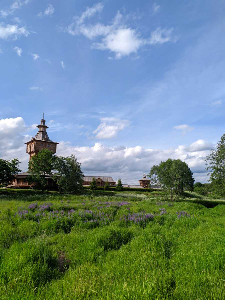 Гремячий ключ, Московская область, Сергиев Посадский район (фото Олег Д., июнь, 2022)