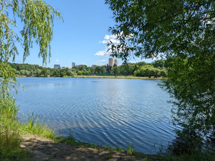 Парк Покровское-Стрешнево, г.Москва (фото Олег Д., июль, 2023)