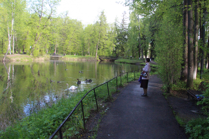 г.Клин, Майдановский парк (фото В.Кузьмина, июнь, 2022)