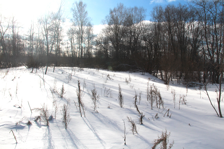 Лыжная прогулка в 5 микрорайоне г.Клин (фото Марина и Василий Кузьмины, февраль, 2023)