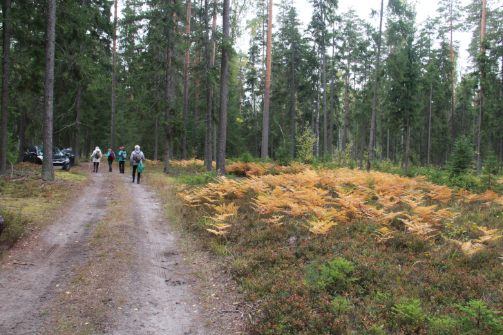 По боевым местам Высоковских партизан (фото В.Кузьмин, г.Высоковск, сентябрь, 2022)