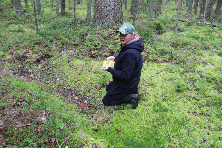 По боевым местам Высоковских партизан (фото В.Кузьмин, г.Высоковск, сентябрь, 2022)