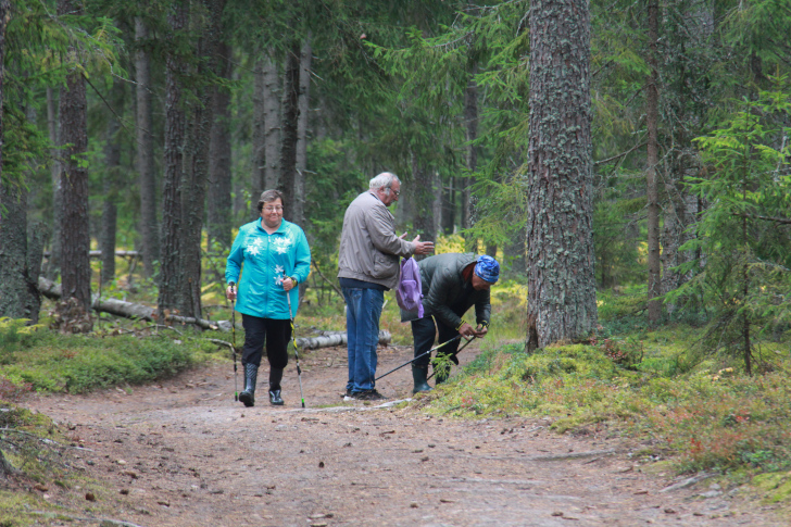 По боевым местам Высоковских партизан (фото В.Кузьмин, г.Высоковск, сентябрь, 2022)