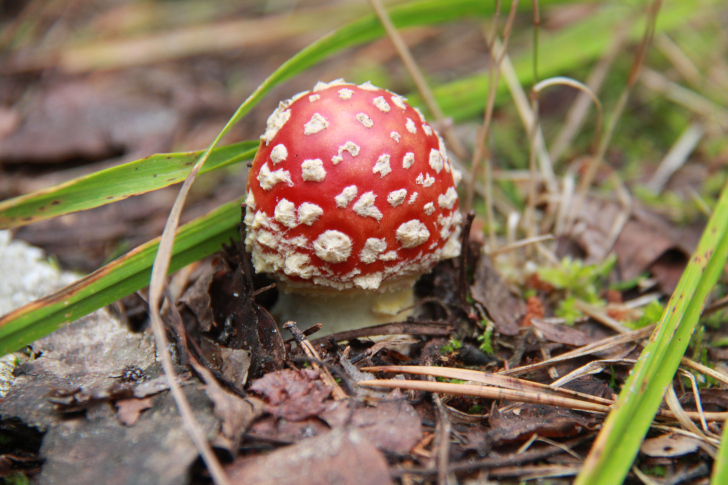 По боевым местам Высоковских партизан (фото В.Кузьмин, г.Высоковск, сентябрь, 2022)